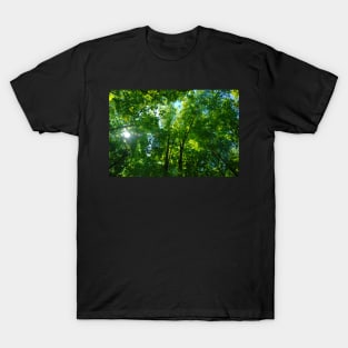 Canopy T-Shirt